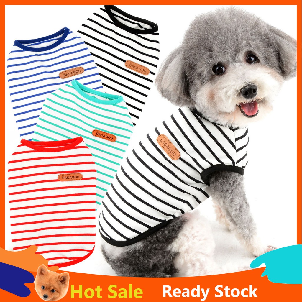 Shih tzu best sale puppy boy clothes