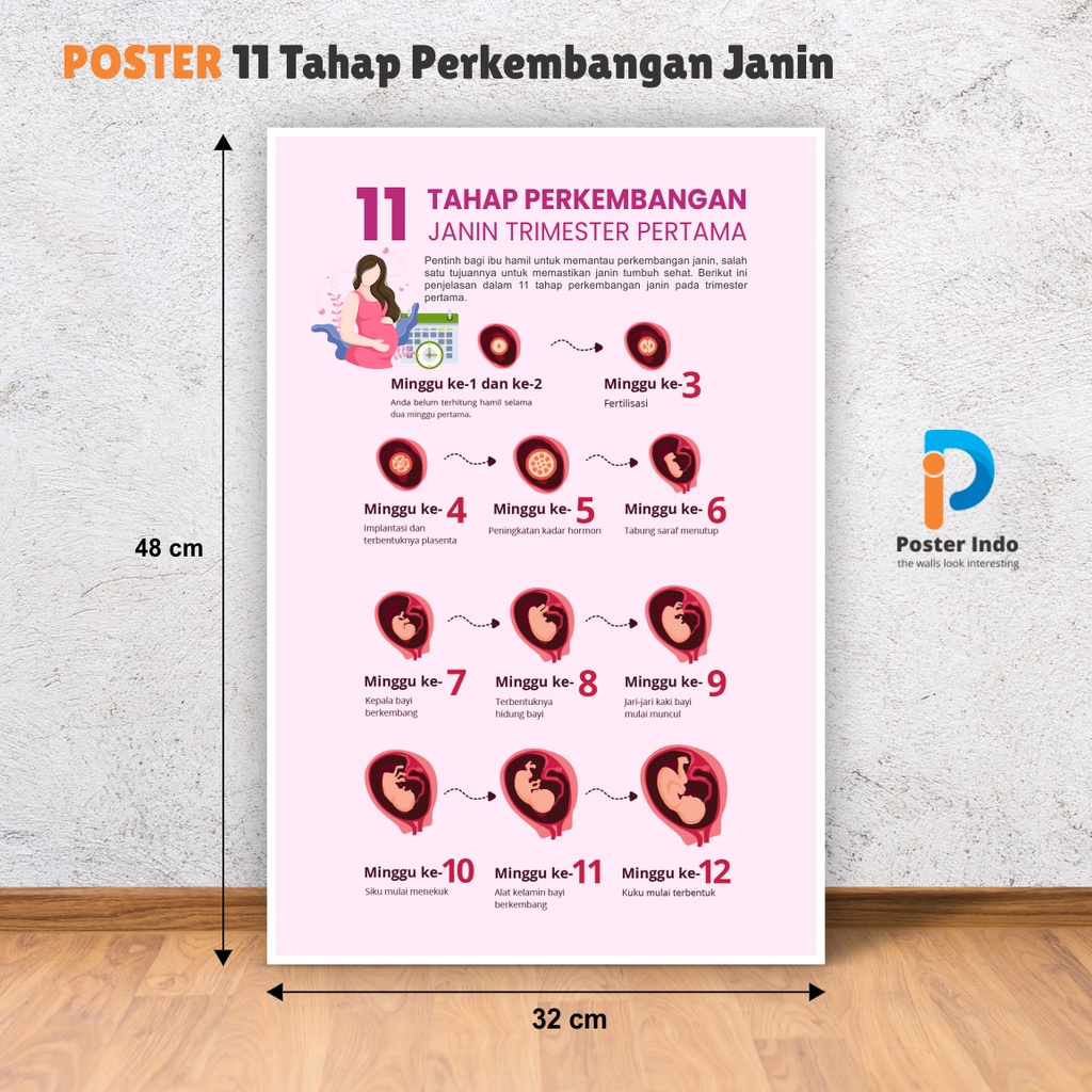 Health Poster 11 Levels of Fetal Development | Shopee Singapore