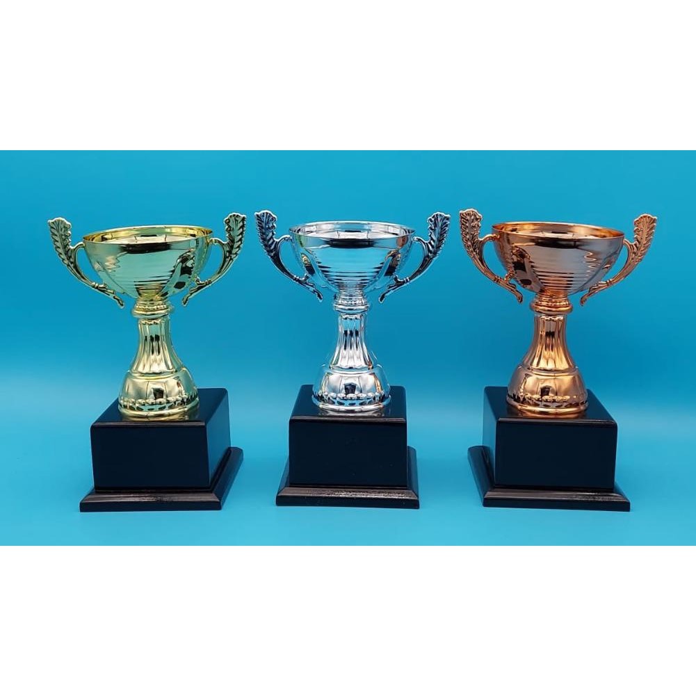 Trophy Cup - BW131 Metal Cup - Gold/Silver/Bronze for Event Souvenir ...