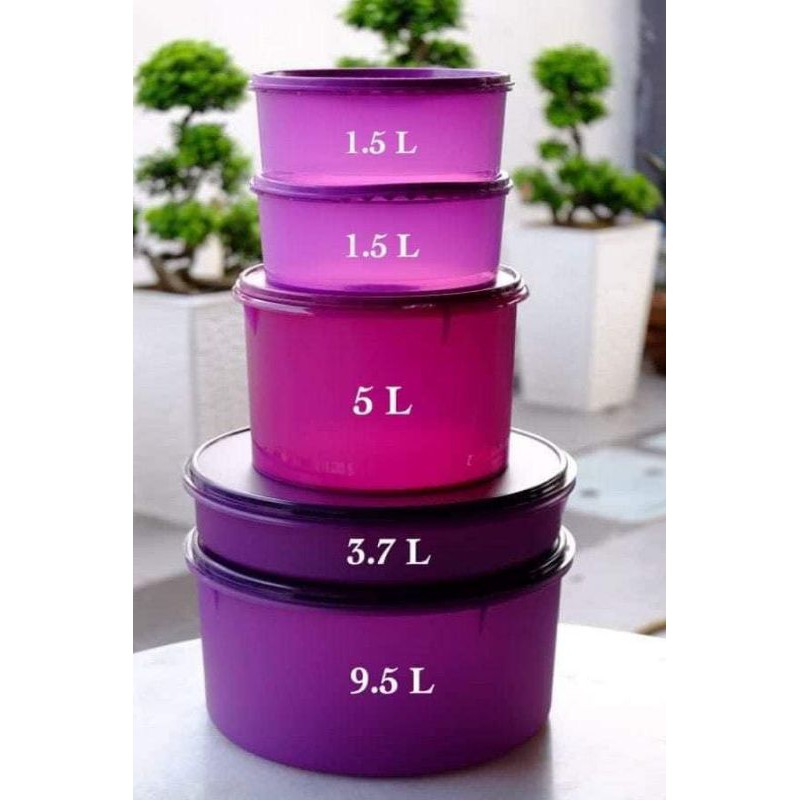 Canister Set Exclusive Tupperware | Shopee Singapore