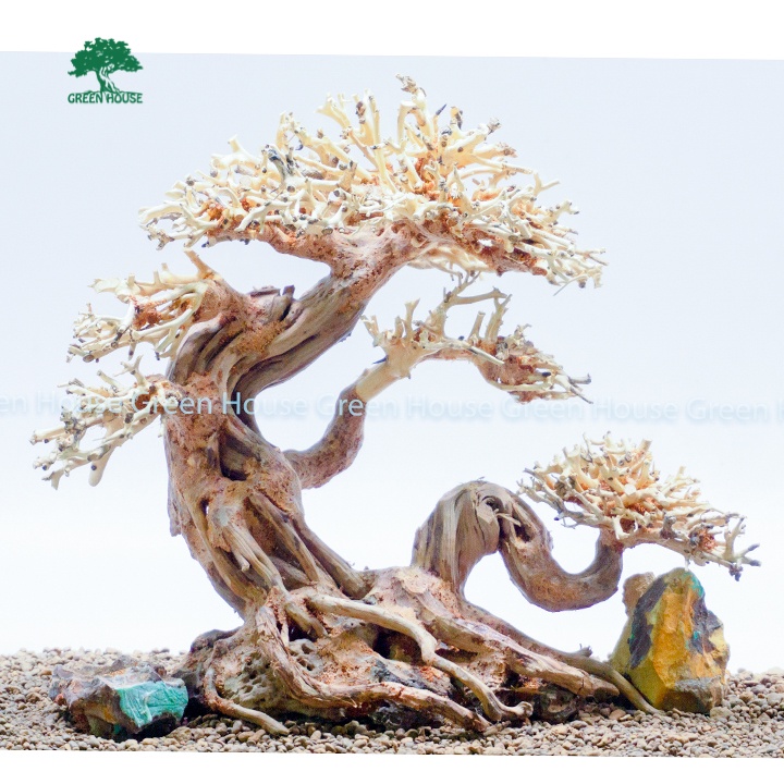 Bonsai Driftwood, Aquatic Driftwood For Aquarium Decoration, Aquarium, Office, Home (GHBSR / 28