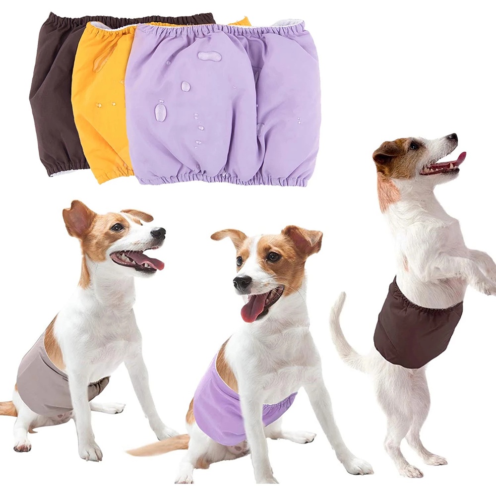 Dog nappy sale pants