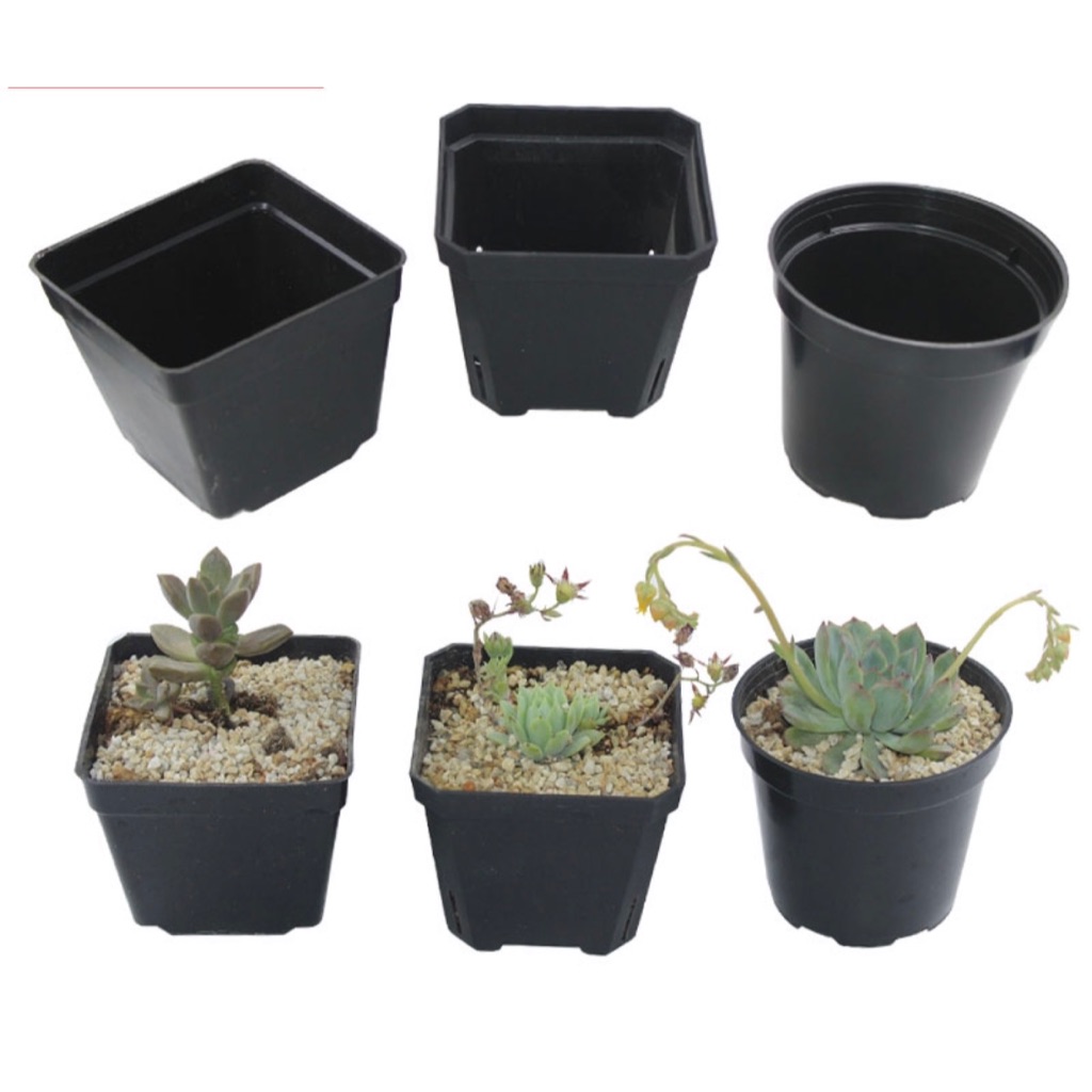 Black plastic flower pot nursery garden flower wholesale | Shopee Singapore