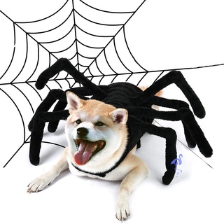 Dog spider costume sales