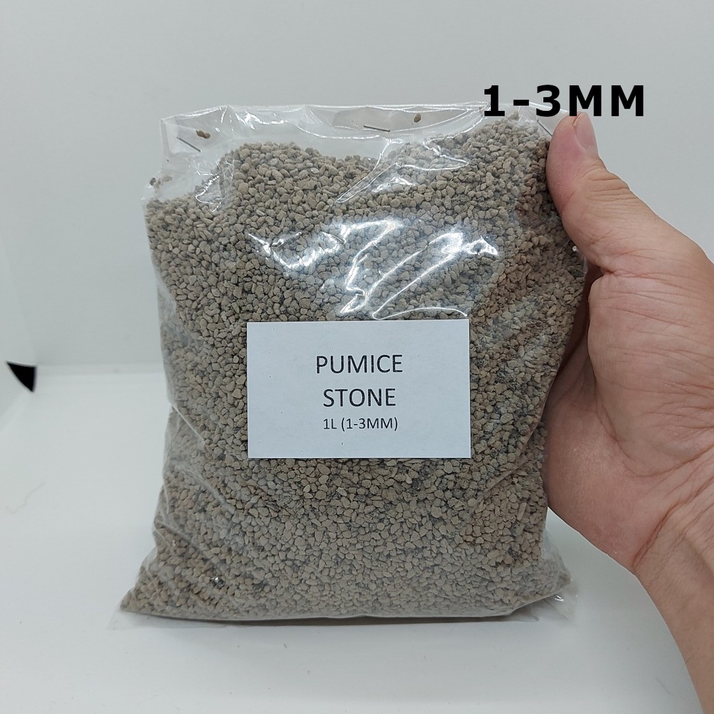 Volcanic Pumice Stones For Potting Plants (JAPAN / CHINA) Shopee