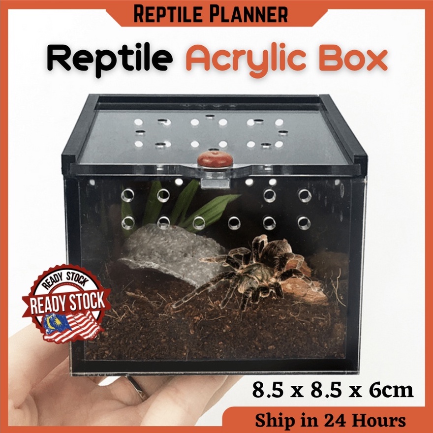 Reptile Acrylic Feeding Box Breeding Habitat Snake Spider Lizard ...