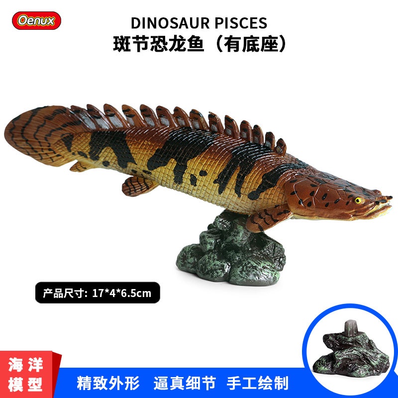 Scientific Words Children Simulation Sea Animal Model Solid Freshwater