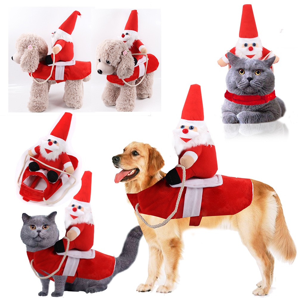 Christmas clothes store for big dogs