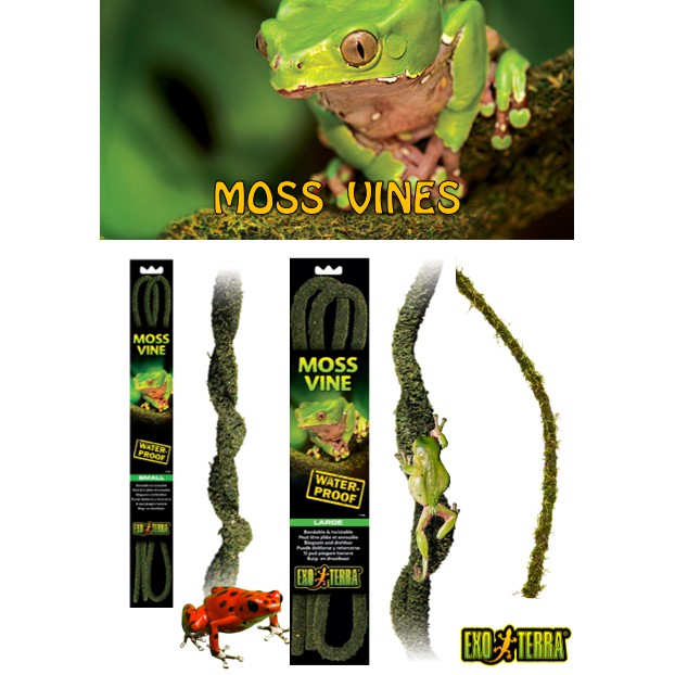 MOSS VINES BY EXO TERRA (PT3083) (PT3084) Shopee Singapore