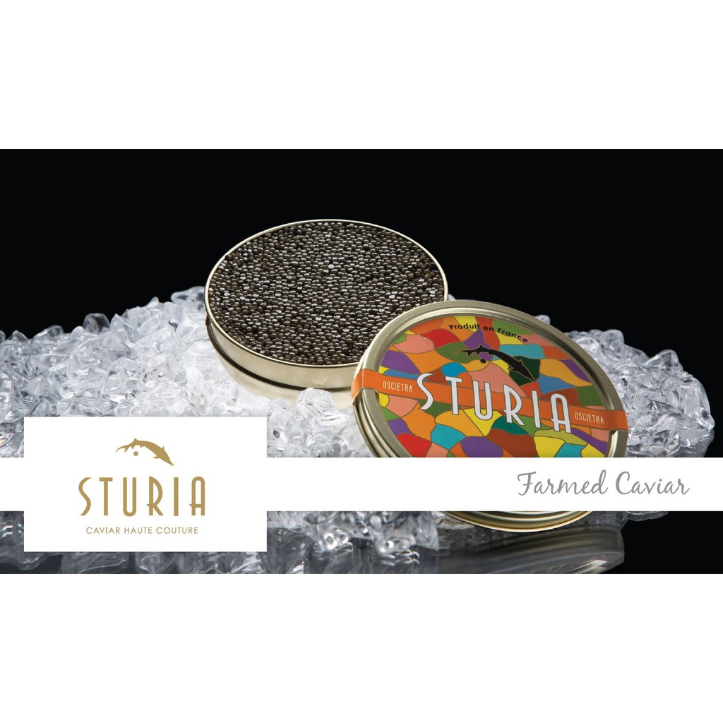 STURIA FRENCH CAVIAR Oscietra / Vintage 15g / 30g | Shopee Singapore
