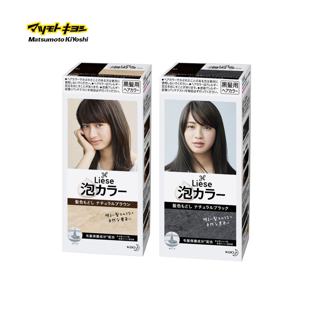 Liese Foam Color 2 Color Variation (Brown, Black) Hair Dye, 108ml Hair Coloring, Hair Colouring