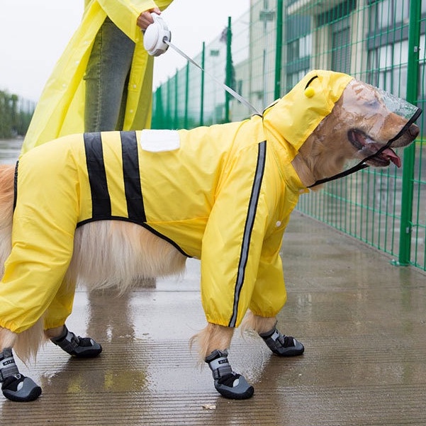 Raincoat clearance golden retriever