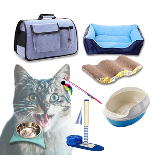 New kitten starter kit best sale