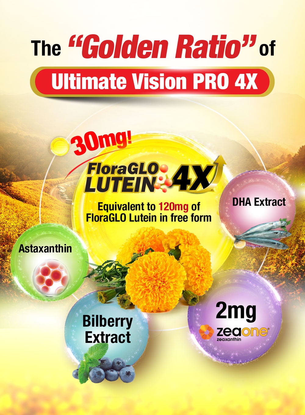 [2 Boxes] AFC Ultimate Vision PRO 4X Free Form Lutein 4X Eye Supplement for Floaters