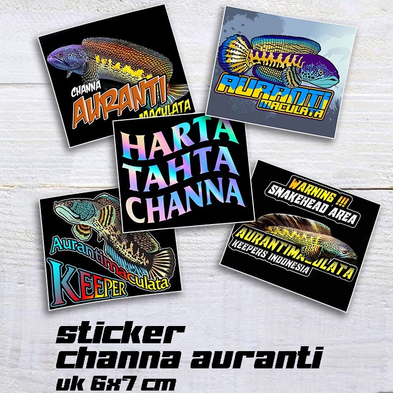 Channa Auranti Sticker Aquarium Patch Sticker Chana Auranti Packet ...
