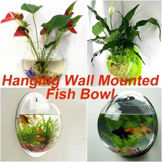 Transparentbowl Acrylic Transparent Bowl Fish Tank Aquarium Home Decoration  Wall Plant Hanging Vase