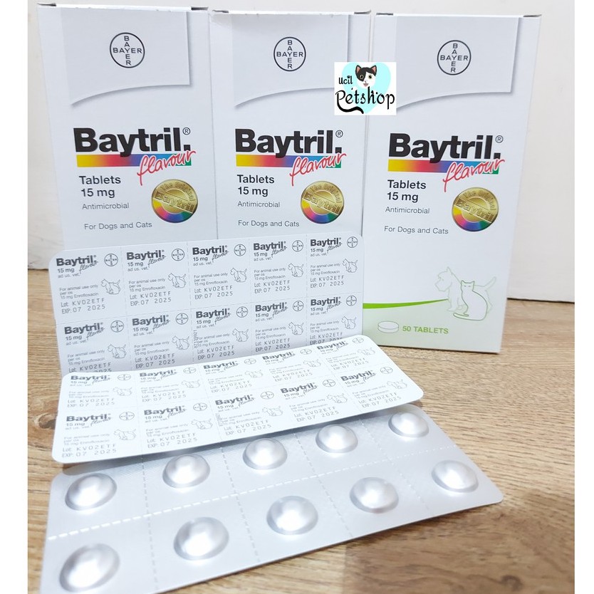 Baytril Flavor Antibiotic Cat And Dog Tablet 15mg (1 Tablet) Shopee