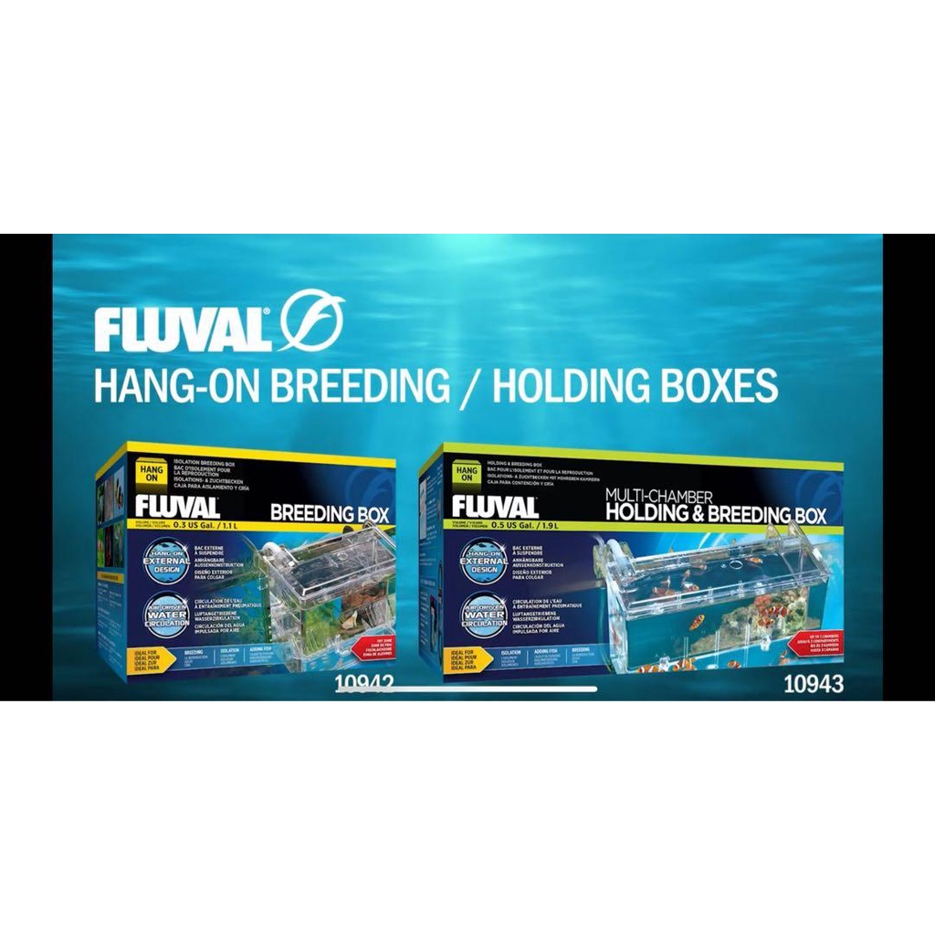 FLUVAL HANG ON MULTICHAMBER HOLDING & BREEDING BOX (1.1L/FV10942) (1
