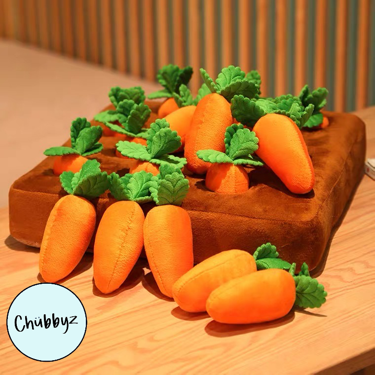 Montessori Shape Puzzle Children Pull Carrot Pull Toy