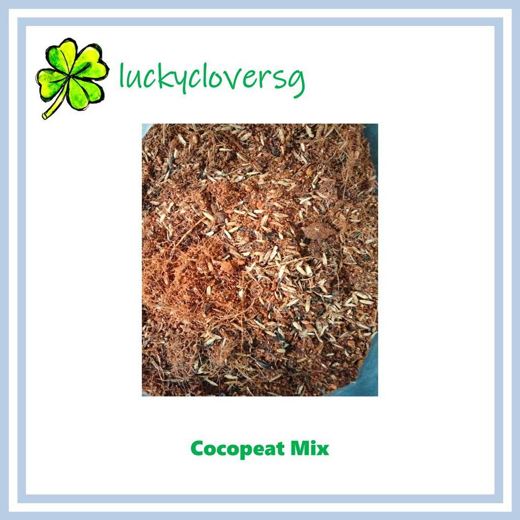 Cocopeat Mix / Cycled Substrate for Isopod / Isopods / Reptiles