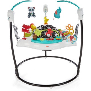 Fisher price deals jumperoo sale