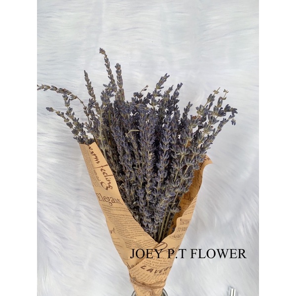 [SG READY STOCKS] Preserved Flower Wholesaler: Dried Lavender