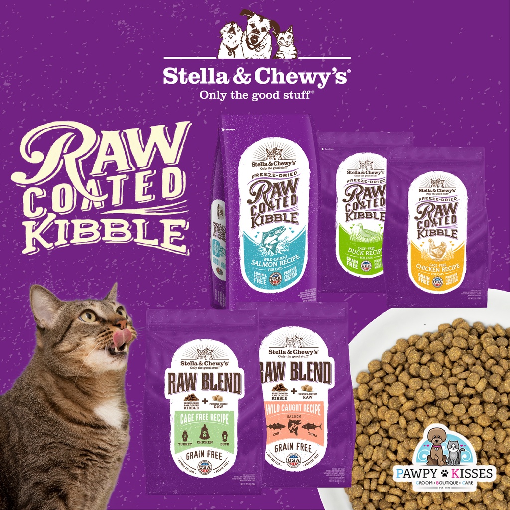 Stella raw sales cat food