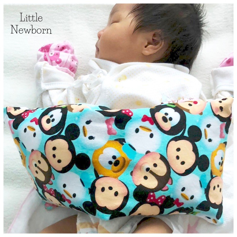 🌈 AntiBacterial Treated Natural Organic Baby Bean Sprout Husk Pillow