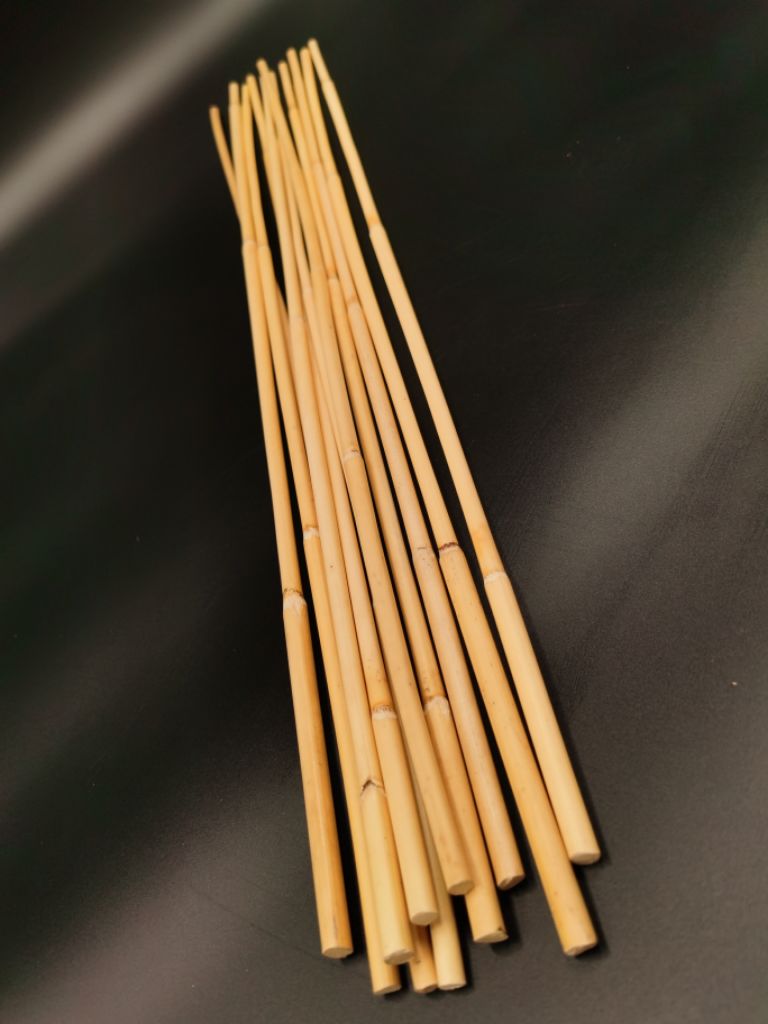Pack of 10 Pieces CANE RATTAN 100 Natural Interior Decoration Discipline Plant Support Handicraft Shopee Singapore