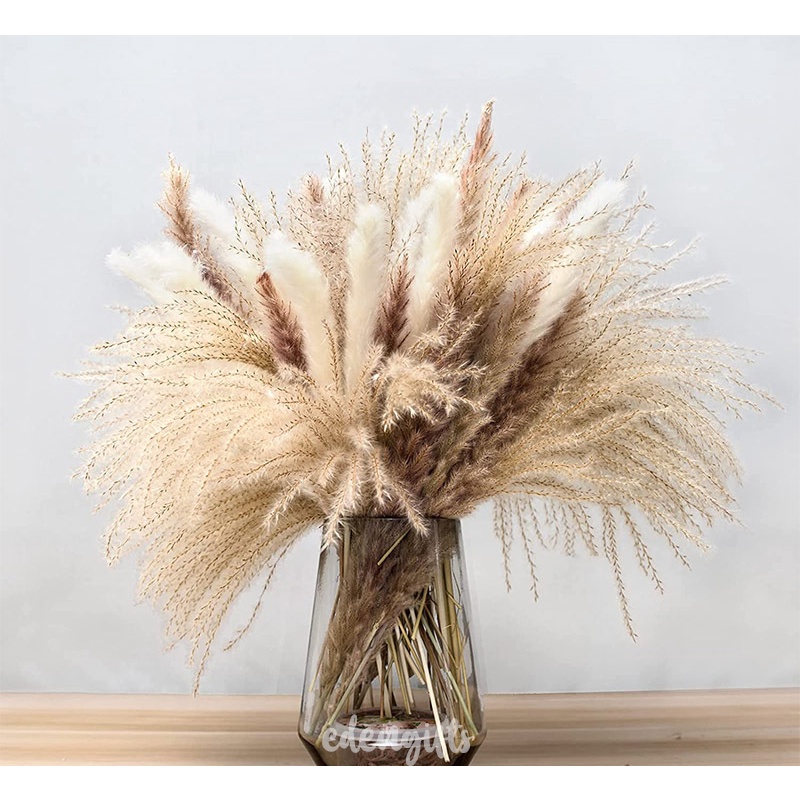 Minimalist flower rustic, neutral tone vase, preserved pampas, reed, bunny, everlasting, birthday, wedding, anniversary