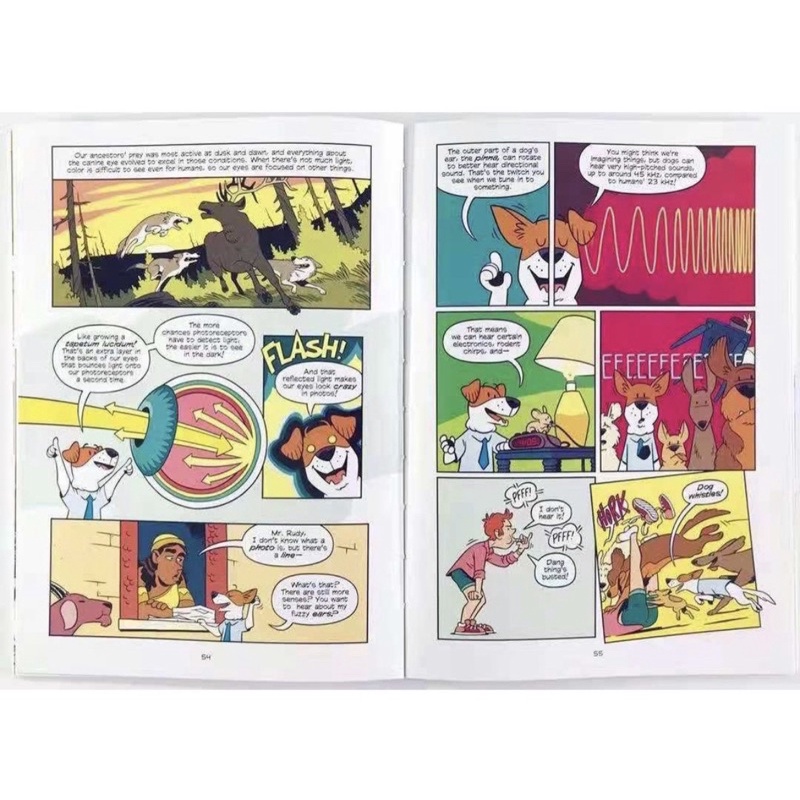 SG）Science Comics 31 Books Box Set | English Science Graphic
