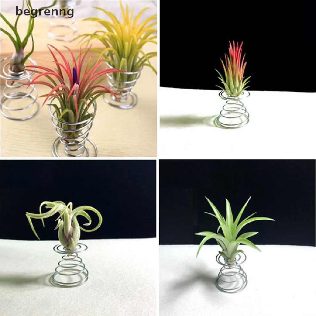 beg 6 Pcs Flower Pot Stainless Steel Air Plant Stand Container Tillandsia Holder renng