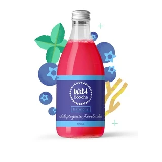 Wild Boocha Kombucha Official Store, Online Shop Aug 2024 | Shopee ...