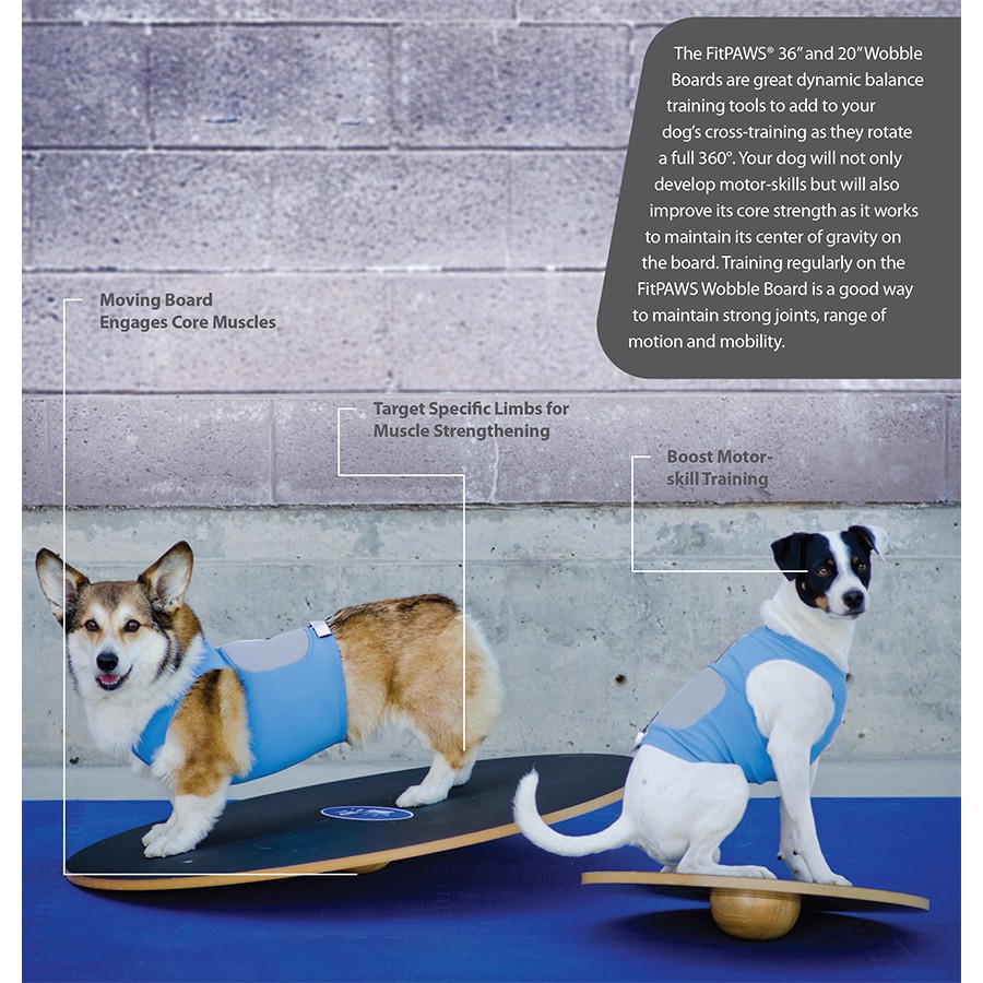 FitPAWS Wobble Board Large size diameter 36 inches for medium and large breeds dog core muscle Shopee Singapore