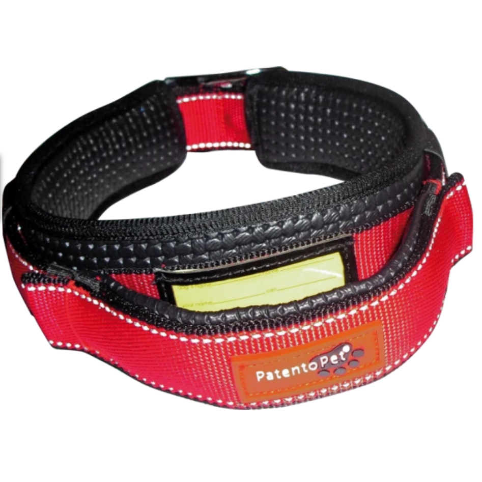 Patento Pet Collar with integrated leash Shopee Singapore