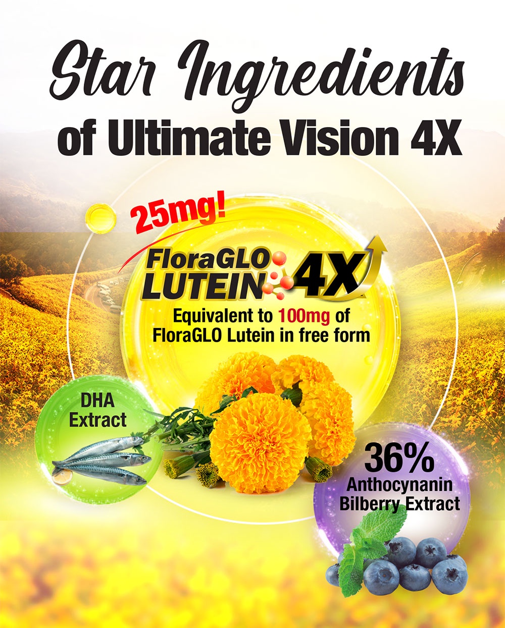 [2 Boxes] AFC Ultimate Vision 4X Free Form Lutein 4X Eye Supplement for Floaters