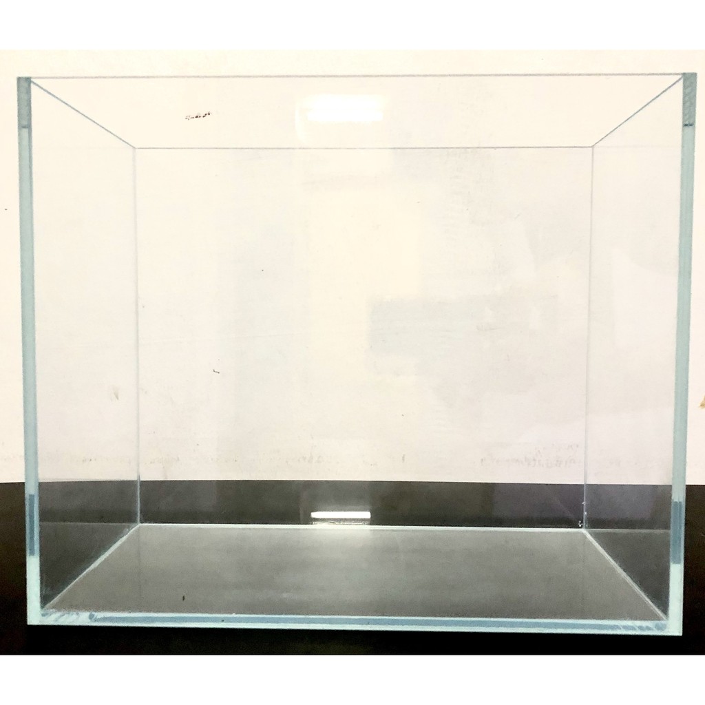 Braceless Glass Betta Fish Tank 18x13x18cm | Shopee Singapore