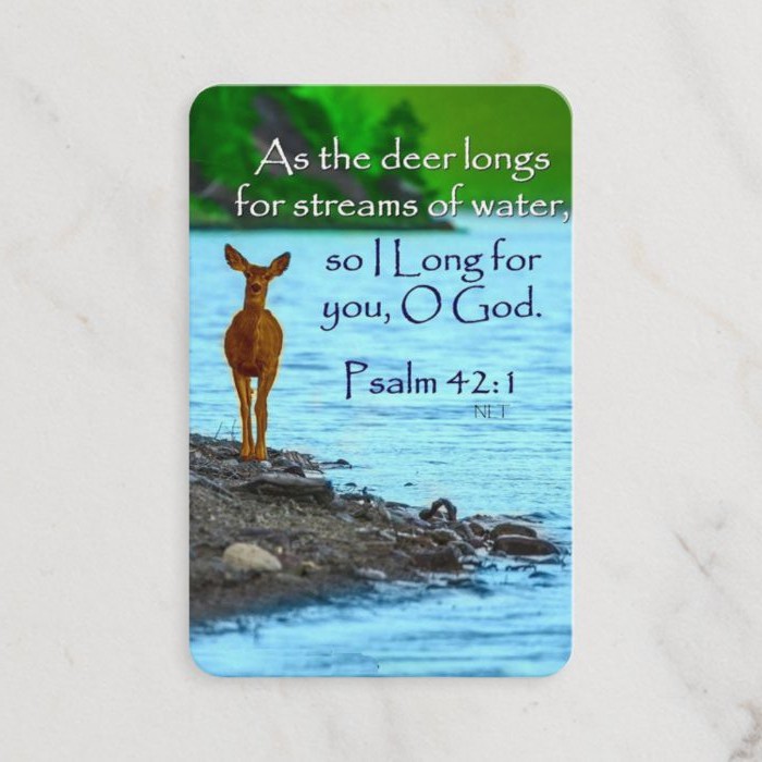 christian-ezlink-card-sticker-gift-christmas-bible-verses-jesus