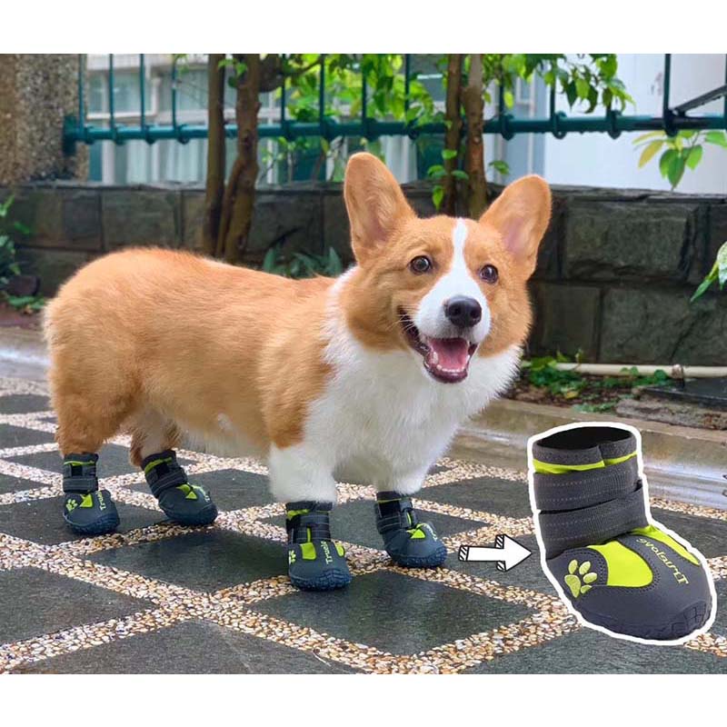 TRUELOVE Pet Dog Shoes For Small Large Dogs Outdoor Reflective Shoes For Dogs Paws Puppy Shoes