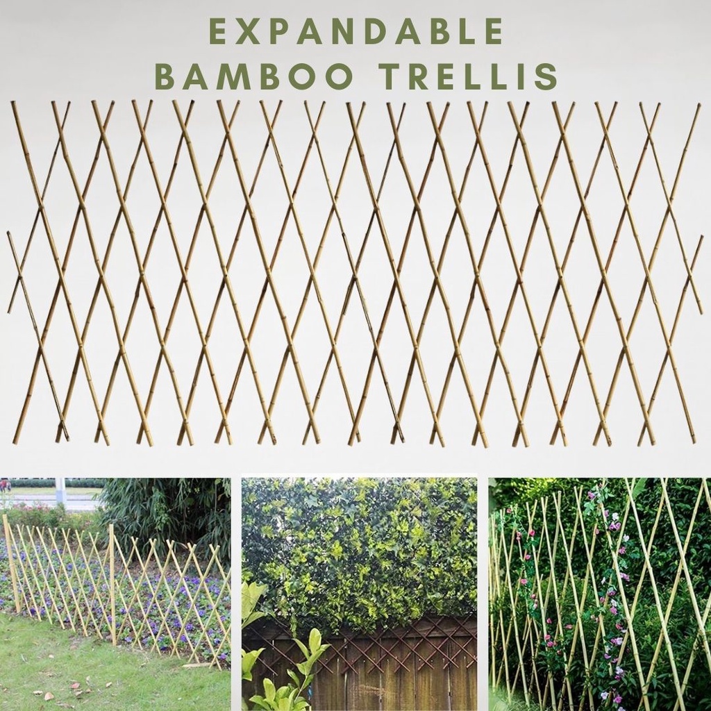 Expandable Bamboo Trellis Poles Lattice Fence Stretch 2Mx0.9M Gardening ...