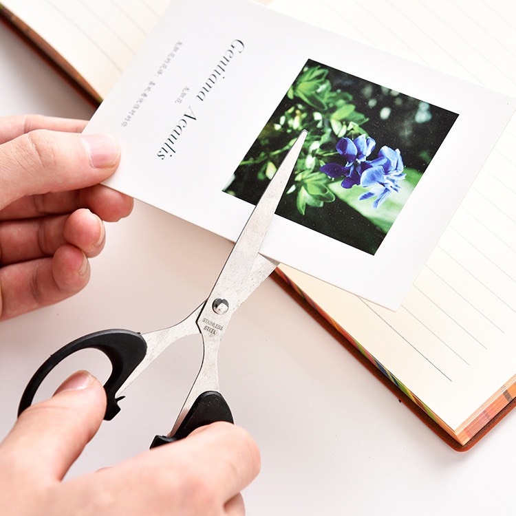 Office paper scissors | Shopee Singapore