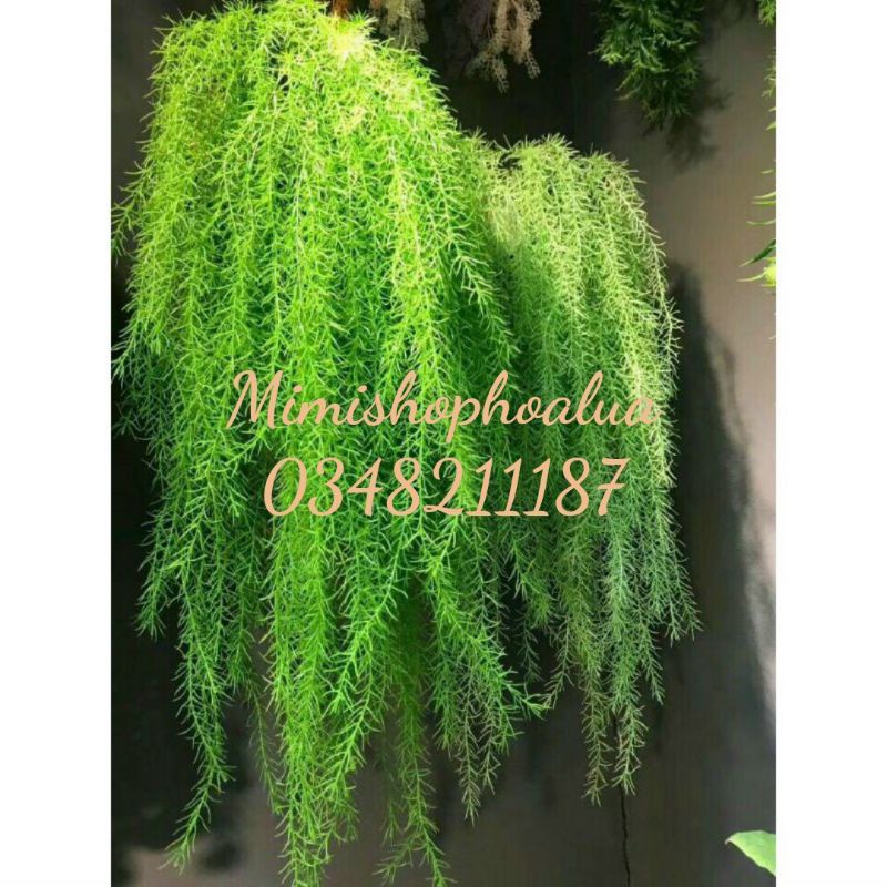 Fake Trees Cluster Of Climbing Leaves Cluster Of Seaweed Inviting