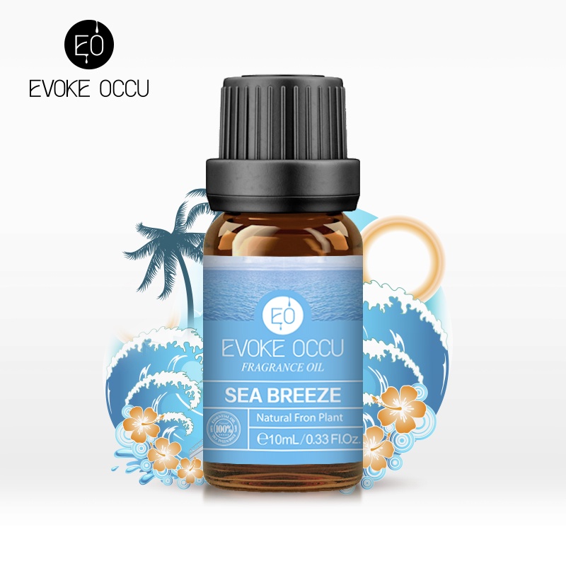 Evoke Occu 10ML Sea Breeze Fragrance Oil for Humidifier Candle Soap Beauty  Products making Scents Increase fragrance