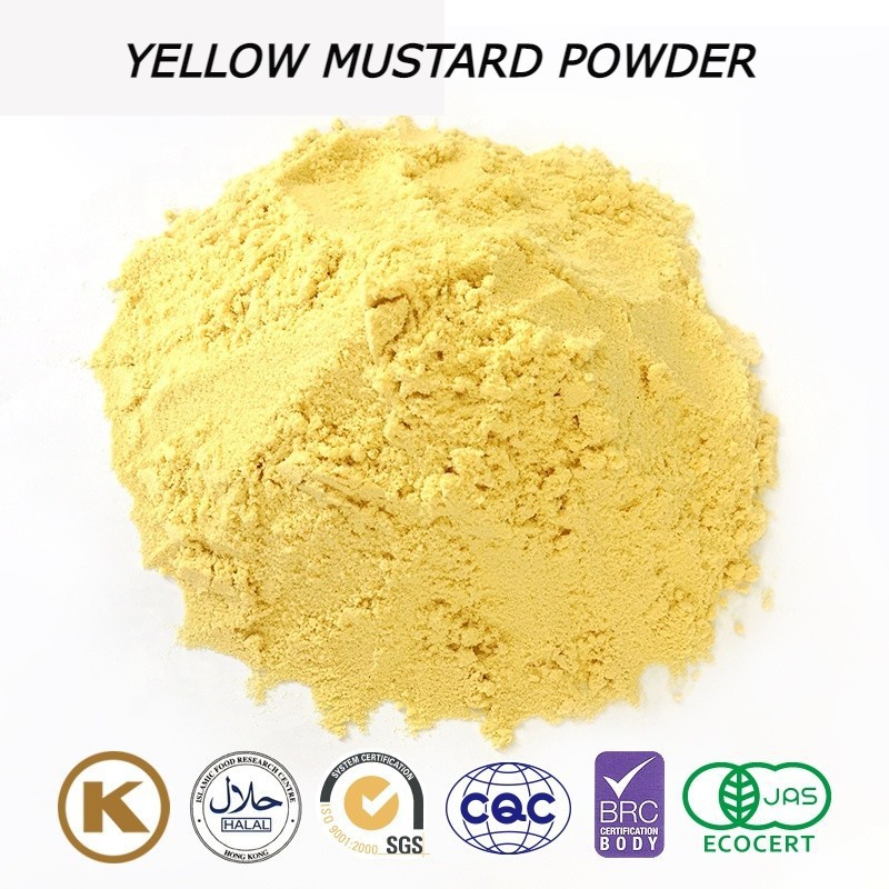 100g 250g MUSTARD POWDER/Yellow MUSTARD Seed POWDER Shopee Singapore