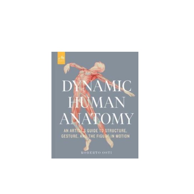 Dynamic Human Anatomy : An Artist