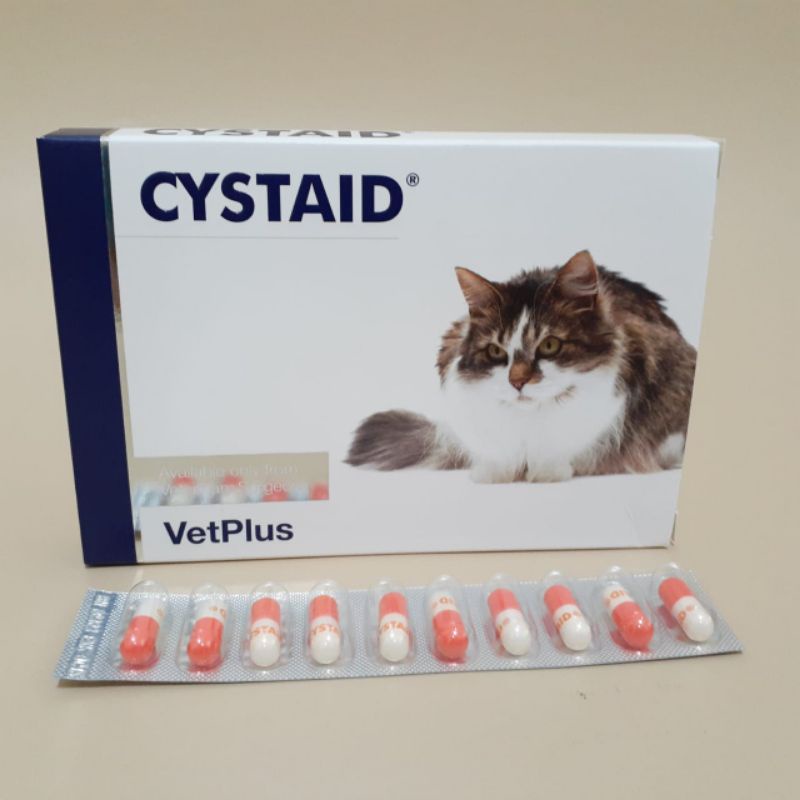 Kidney medicine for cats sale