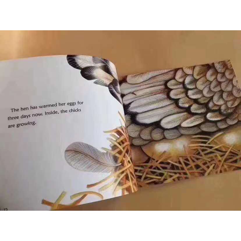 SG Stock] Let's Read And Find Out Science by Harper Collins Level