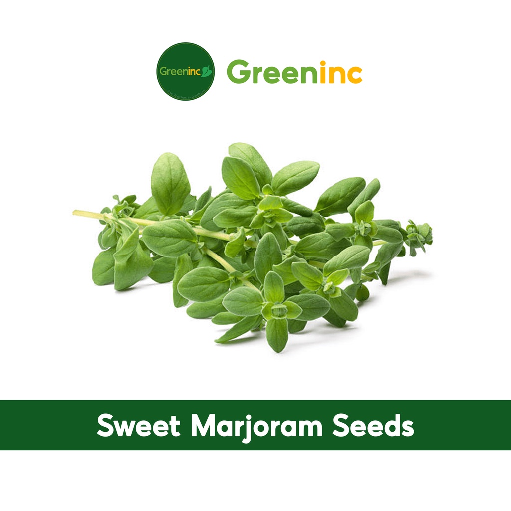 Sweet Marjoram Seeds (甜马郁兰) Herb Seeds from SG Shopee Singapore