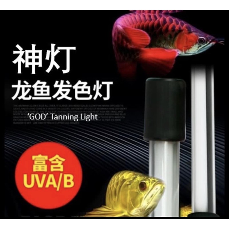 ピ*ト様 AROWANA TANNING LIGHT テンニング 【公式通販】