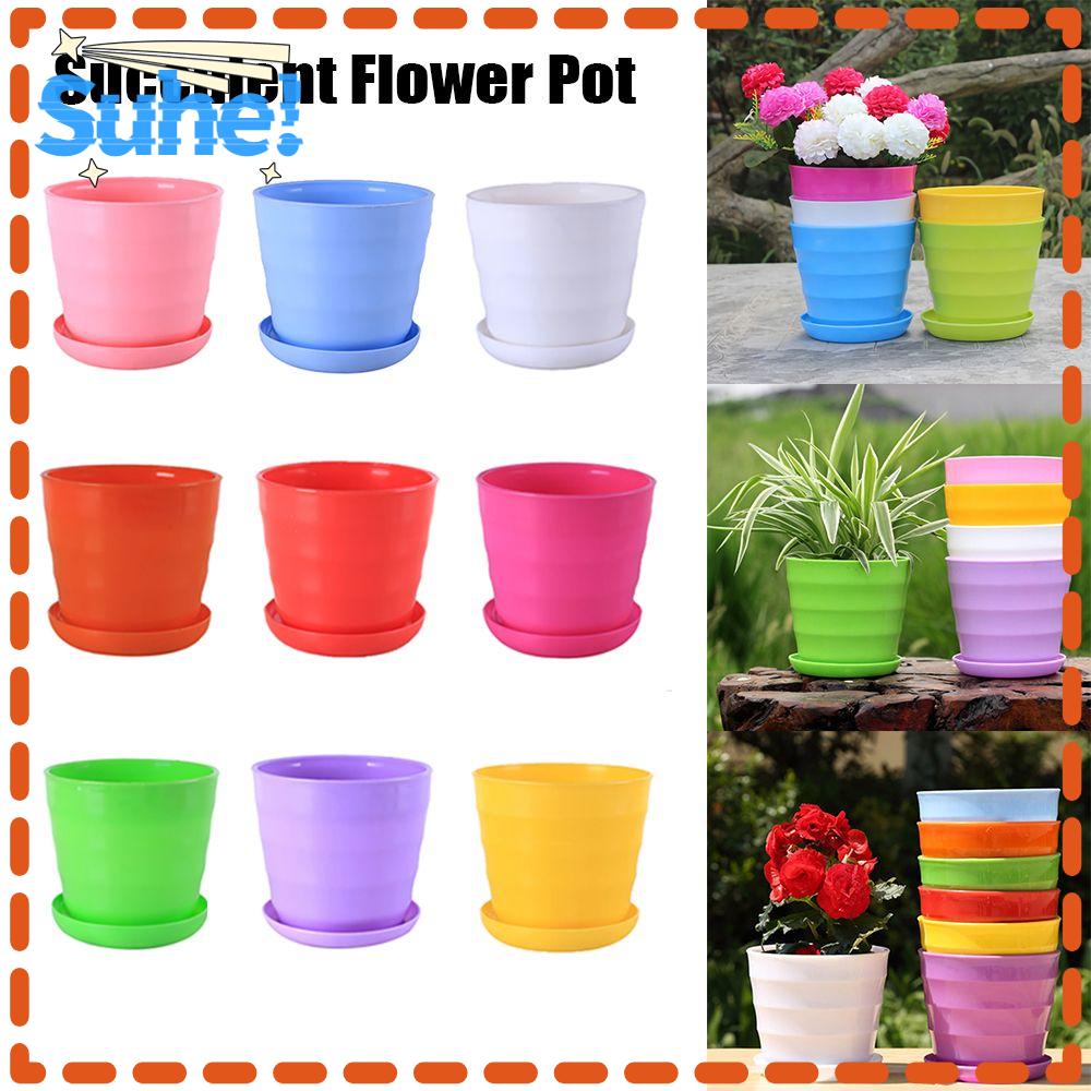 SUHE Plastic Green Plant With Trays Mini Basin Flower Pot Home &Garden ...